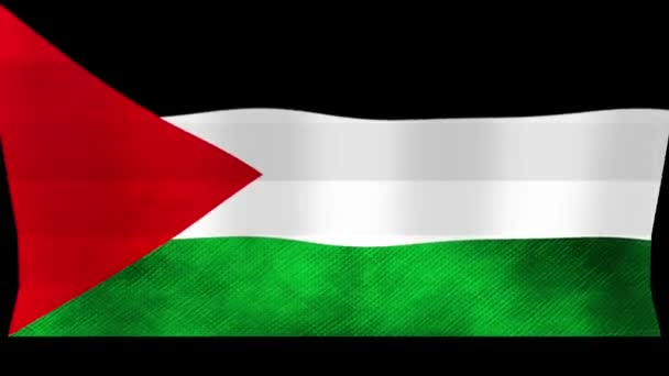Dia Internacional Solidariedade Povo Palestino Com Conceito Vídeo Animação Mão — Vídeo de Stock