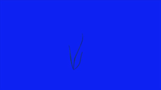 Video Loop Animation Moving Leaf Stem Blue Background — Stock Video