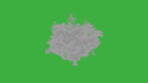 アニメーションビデオループ 緑のスクリーンの背景に現実的な煙 — ストック動画