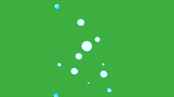 Animasi Loop Gelembung Video Pada Latar Belakang Layar Hijau — Stok Video