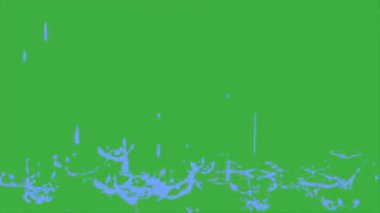 Yeşil ekran arka planında animasyon döngüsü video sıvısı