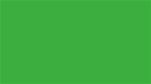 Animation Video Line Green Screen Background — Stock Video
