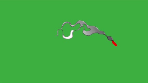 Animazione Video Loop Elemento Fuoco Sfondo Schermo Verde — Video Stock