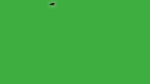 Animación Elemento Humo Bucle Vídeo Fondo Pantalla Verde — Vídeo de stock