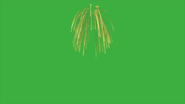  Yeşil ekran arka planında canlandırma video havai fişeği