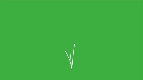 绿色屏幕背景下的动画视频循环指针 — 图库视频影像