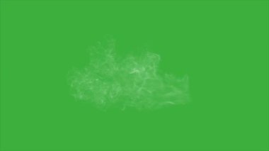 Yeşil ekran arka planında hareket eden canlandırma video tozu