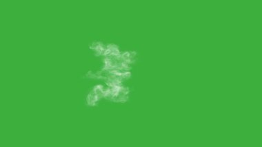 Yeşil ekran arka planında hareket eden canlandırma video tozu
