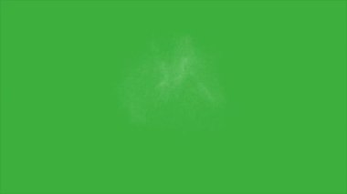 Yeşil ekran arka planında hareket eden canlandırma video tozu