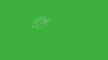 Yeşil ekran arka planında hareket eden canlandırma video tozu
