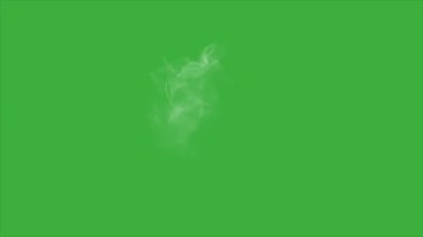 Yeşil ekran arka planında hareket eden canlandırma video tozu