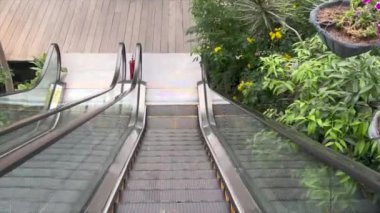 Öğleden sonra aşağı inen bir yürüyen merdivenin videosu, bir sürü güzel yeşillik görünüyor.