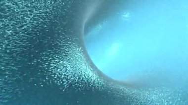 Canlandırma videosu soyut arkaplan hareketi 