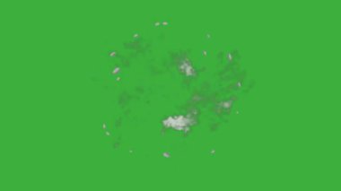Yeşil ekran arka planında hareket eden video animasyon çizgi film patlama element efekti döngüsü 