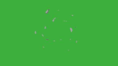 Yeşil ekran arka planında hareket eden video animasyon çizgi film patlama element efekti döngüsü 