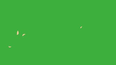 Animasyon çizgi film video döngüsü rüzgar yaprakları ögesi yeşil ekran arkaplanı üzerinde hareket ediyor 