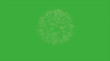 Yeşil ekranda hareket eden animasyon video havai fişeği 