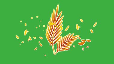 Animasyon video karikatür çiçeği yeşil ekran arka planında hareket ediyor