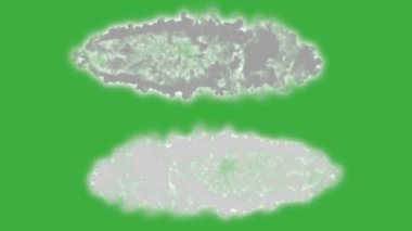 Animasyon video döngüsü gerçek duman elemanı efekti yeşil ekran arka planında hareket ediyor 