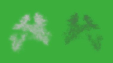 Animasyon video duman patlama ögesi efekti yeşil ekran arka planında hareket ediyor