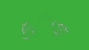 Animasyon video duman patlama ögesi efekti yeşil ekran arka planında hareket ediyor 