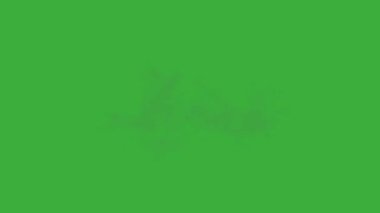 Animasyon video duman patlama ögesi efekti yeşil ekran arka planında hareket ediyor 