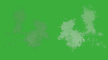 Animasyon video duman patlama ögesi efekti yeşil ekran arka planında hareket ediyor 