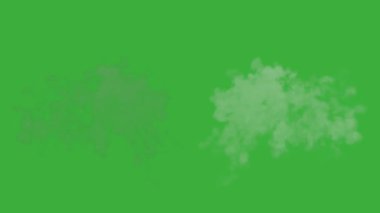 Animasyon video duman patlama ögesi efekti yeşil ekran arka planında hareket ediyor 