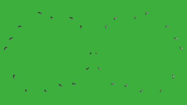 Yeşil ekran arka planında hareket eden canlandırma video duman elemanı efekti