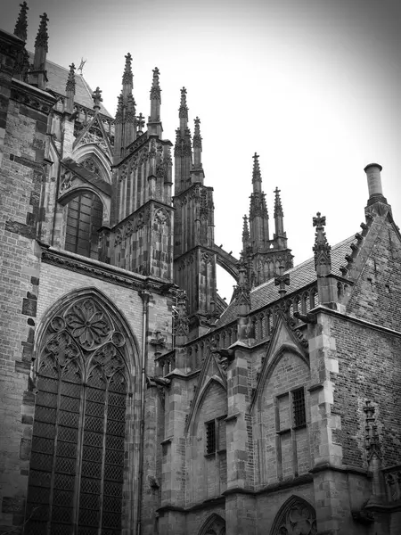 荷兰乌得勒支圣马丁大教堂Domkerk立面 高质量的照片街 Martins Cathedral Domkerk Black White Atmospheric Side View — 图库照片