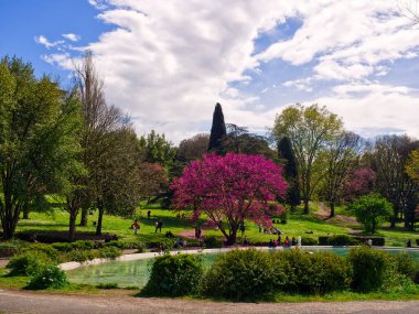 Villa Borghese, Roma, İtalya 'daki Pincio Bahçeleri' nde göl 