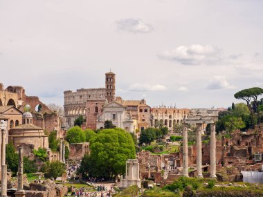 Roma Forumu güneşli bahar gününde, Roma, İtalya. Yüksek kalite fotoğraf