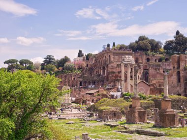 Roma Forumu güneşli bahar gününde, Roma, İtalya. Yüksek kalite fotoğraf