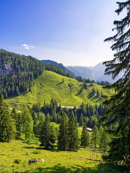 Yaz mevsiminde Bavyera Alp Dağları, Konigssee, Almanya 