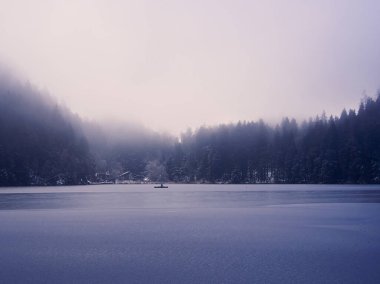 Avusturya alpleri donmuş sisli göl manzarası. Yüksek kalite fotoğraf