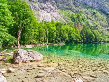 Berchtesgaden Ulusal Parkı, Bavyera, Almanya 'da Obersee Gölü' nün kristal berrak sularıyla Lakeshore manzarası 