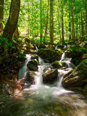 Berchtesgaden Ulusal Parkı, Bavyera, Almanya 'daki bir ormandaki bir şelalenin uzun pozlama fotoğrafı 