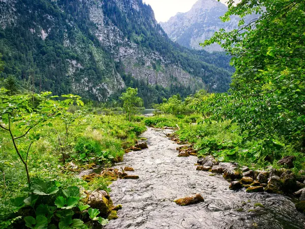 River stream runs in the mountain valley. Lake Konigssee in Bavaria, Germany