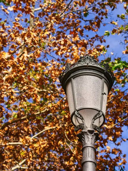 Halka açık bir parkta arkası ağaç olan klasik sokak feneri lambası. Madrid, İspanya 