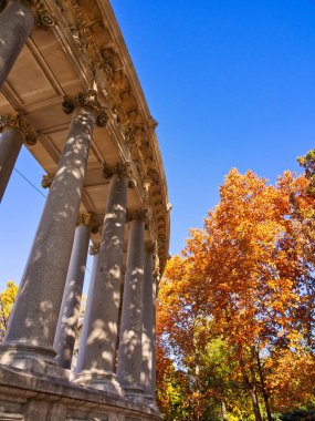 Sonbahar ağaçlarıyla dolu kamu parkında Colonnade, Retiro Park, Madrid, İspanya 