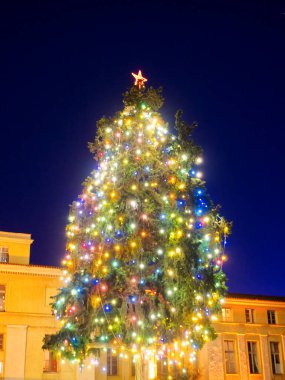 Geceleyin Noel ışıklarıyla dolu büyük bir Noel ağacı 