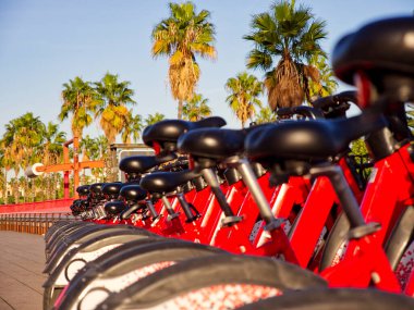 Kırmızı şehir bisikletleri arka arkaya kiralıktır. Arka planda çam ağaçları. 