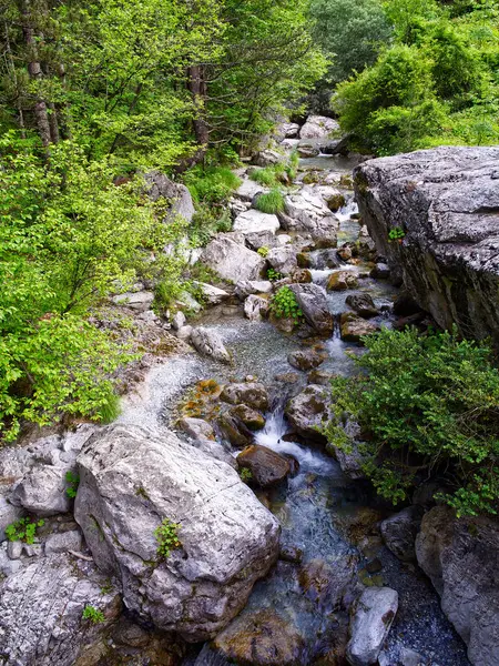 Dağ nehri suyu kayaların üzerinden akıyor. Yüksek kalite fotoğraf