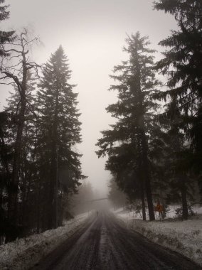 Kışın asfalt yol boyunca kar ve sisle kaplı. 