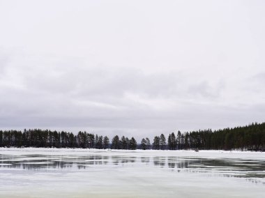 Donmuş göl manzarası, bulutlu ve kasvetli gökyüzünün altında orman yansıması. 