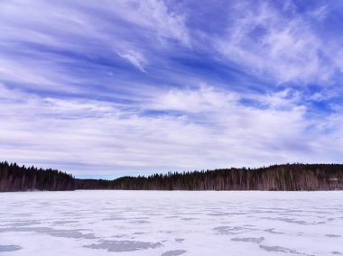 Donmuş göl ve orman manzarası Mavi gökyüzü ve beyaz bulutlar 