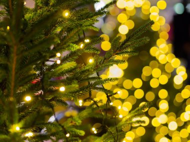 Açık havada süslenmiş bokeh renkli ışıkları ve arka planda süsleri olan bir Noel ağacı. 