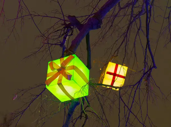 Açık havada süslenmiş Noel ağacı ve aydınlatılmış hediye kutuları. 