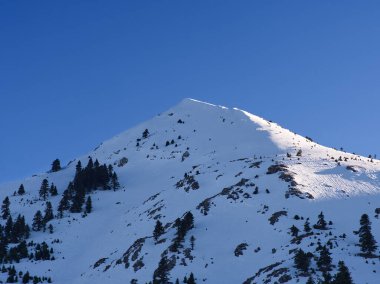 Heybetli karla kaplı Helmos dağı, parlak mavi bir arka plan karşısında seyrek ağaçlarla kaplı. Kalavryta, Peloponesse