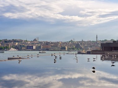 İstanbul 'un camiler ve binalarla dolu tarihi ufuk çizgisini kuşlarla dolu durgun suya yansıtıyor
